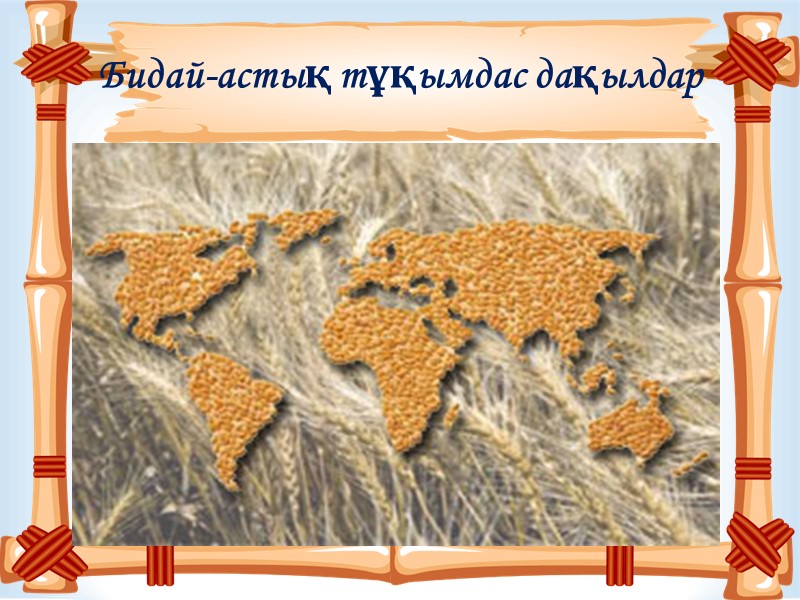 Бидай-астық тұқымдас дақылдар